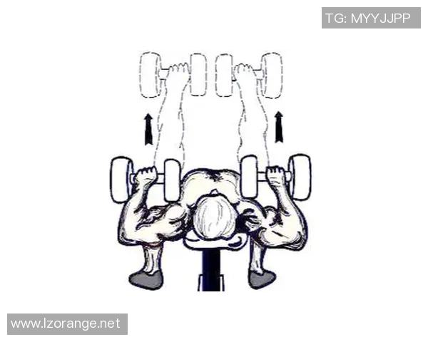 哑铃卧推与杠铃卧推的全面对比及各自训练效果分析