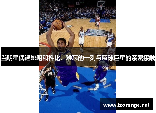 当明星偶遇姚明和科比：难忘的一刻与篮球巨星的亲密接触