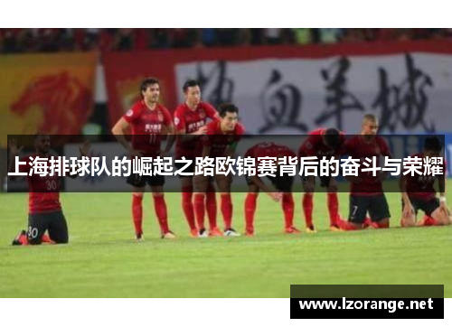 上海排球队的崛起之路欧锦赛背后的奋斗与荣耀