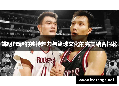姚明PE鞋的独特魅力与篮球文化的完美结合探秘